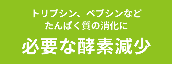 トリプシン、ペプシンなどたんぱく質の消化に必要な酵素減少