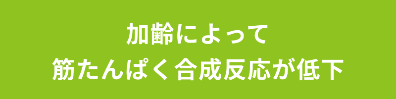 加齢によって筋たんぱく合成反応が低下