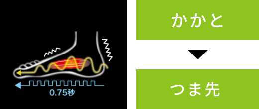 かかと▶︎つま先