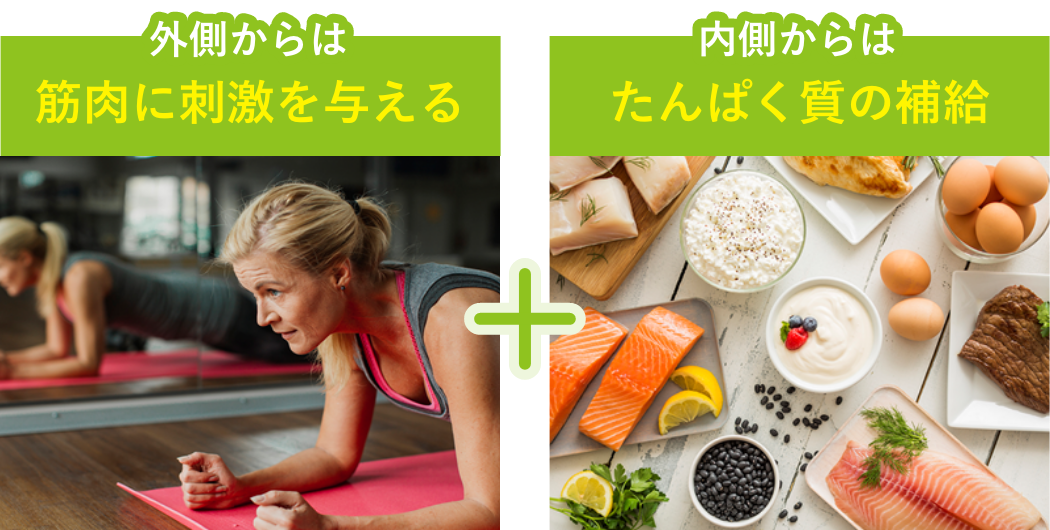 外側からは筋肉に刺激を与える+内側からはたんぱく質の補給