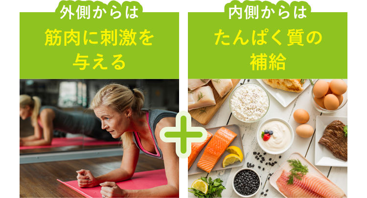 外側からは筋肉に刺激を与える+内側からはたんぱく質の補給