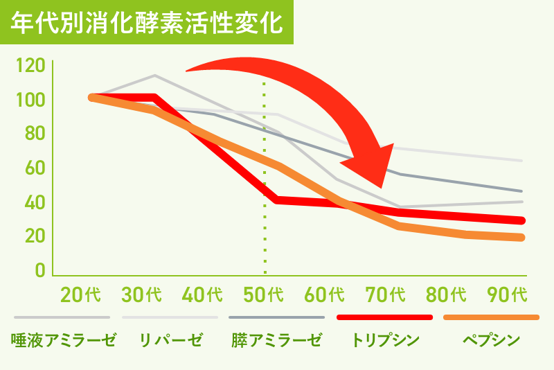 年代別消化酵素活性変化