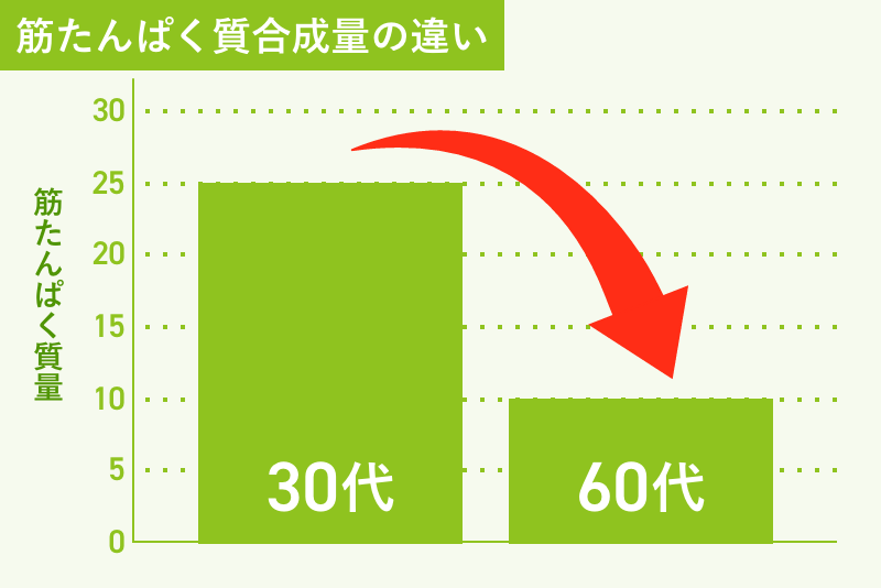 筋たんぱく質合成量の違い