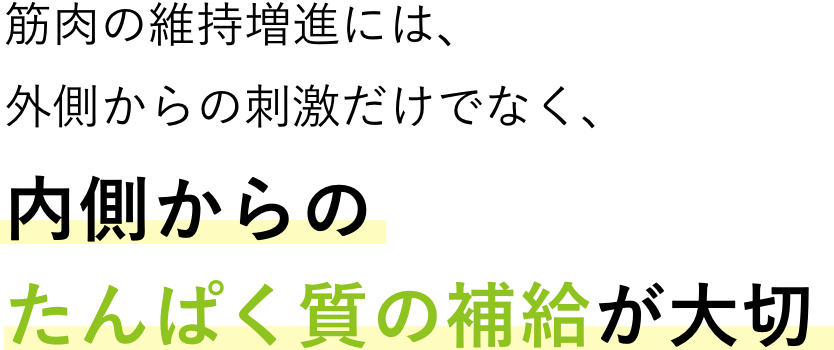 筋肉の維持増進には、外側からの刺激だけでなく、内側からのたんぱく質の補給が大切