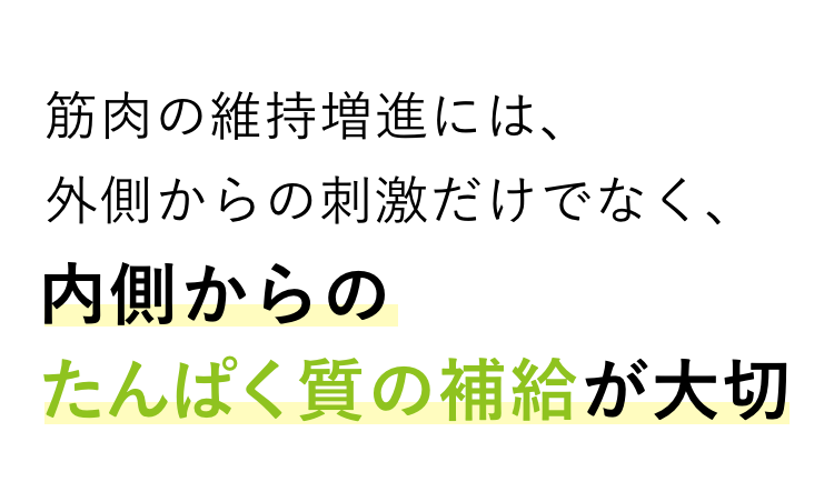 筋肉の維持増進には、外側からの刺激だけでなく、内側からのたんぱく質の補給が大切