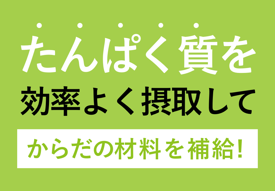 たんぱく質を効率よく摂取してからだの材料を補給!