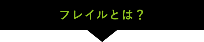 フレイルとは？