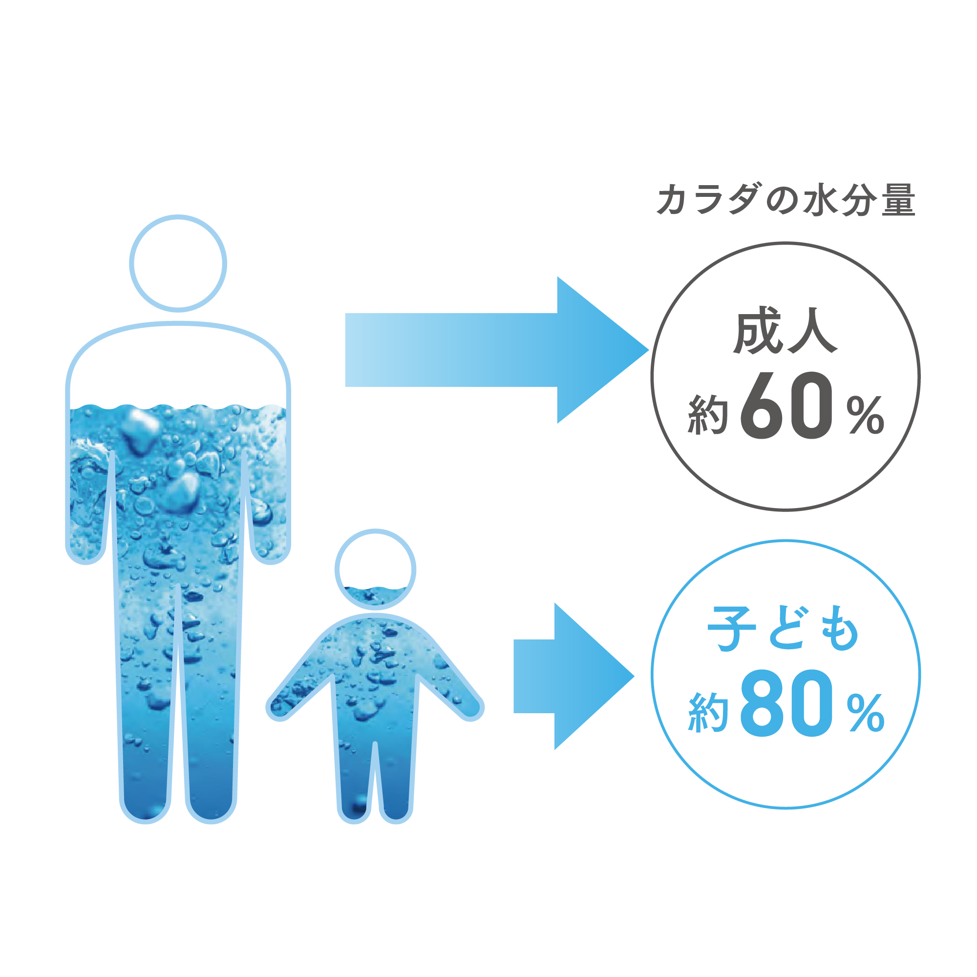 浄水器II（ビルトイン型）：Amway(アムウェイ)Shopping