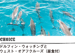 choice ドルフィン・ウォッチングとウェスト・オアフクルーズ(昼食付)